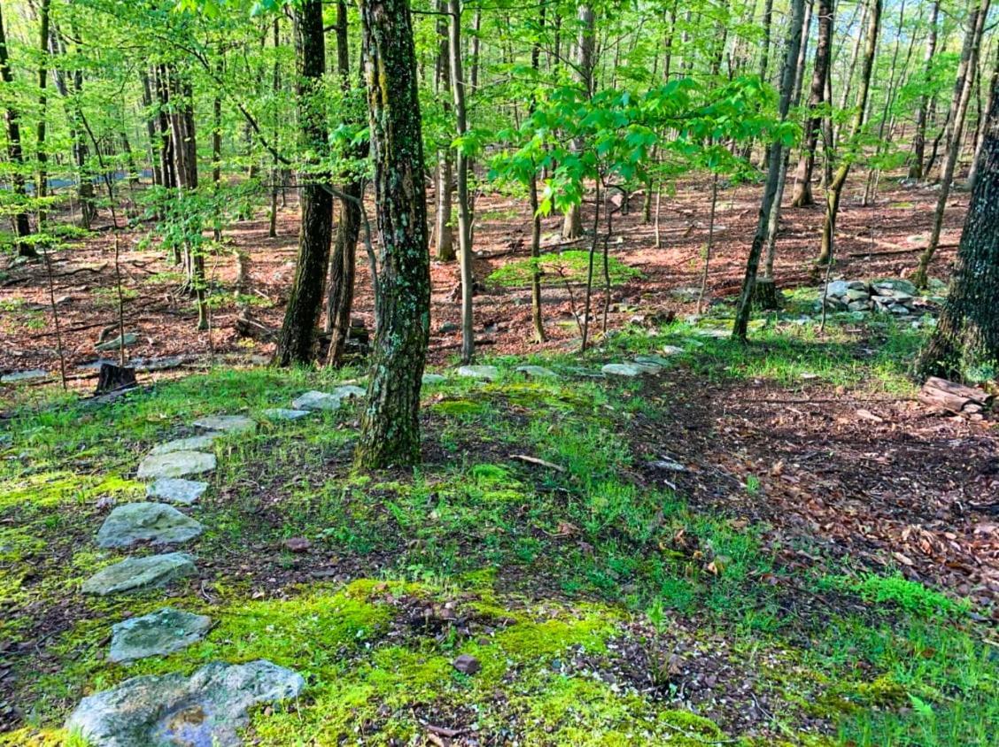 Huge Cabin W Hot Tub, Deck, Grill, Fire Pit, Wifi Berkeley Springs Bagian luar foto